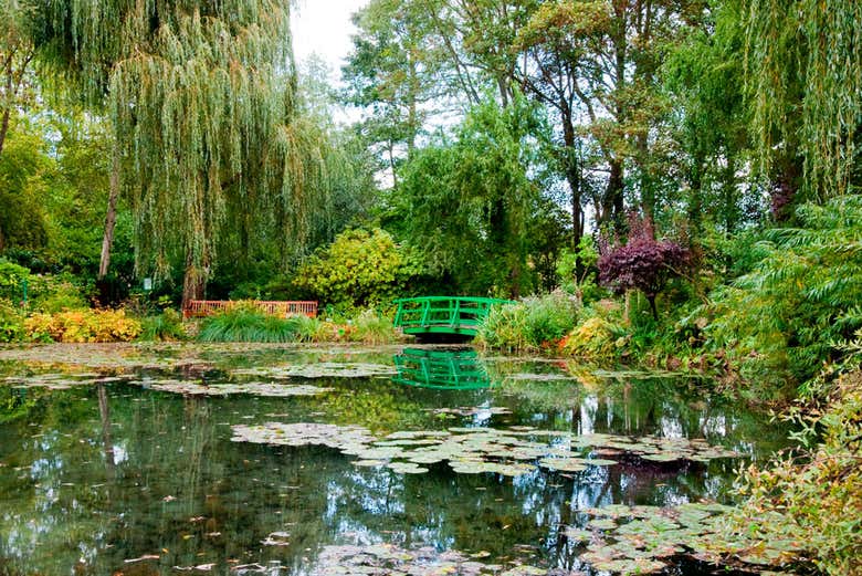 Il giardino delle ninfee